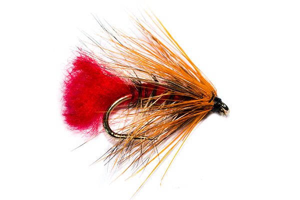 Fish Fishing Flies Doobry Wet Fly