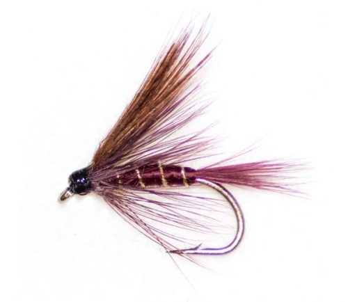 Claret Dabbler - Image 3