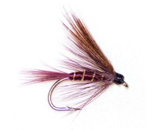 Claret Dabbler