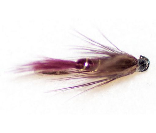 Claret Dabbler - Image 2