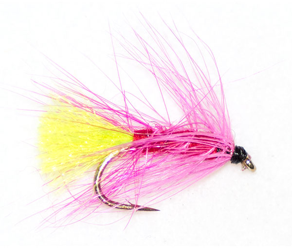 Concoction palmer traditional wet fly from fishing flies