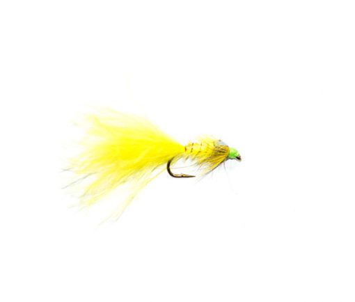 Flash Back Yellow Nymph