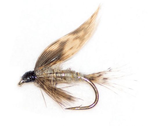 March Brown - Image 3