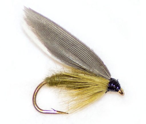 McLeods Olive