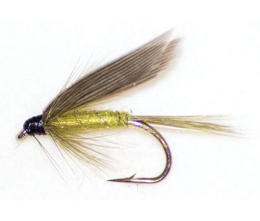 Medium Olive Winged - Image 3