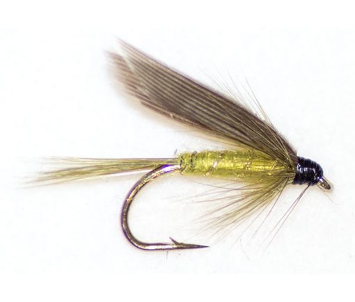 Medium Olive Winged