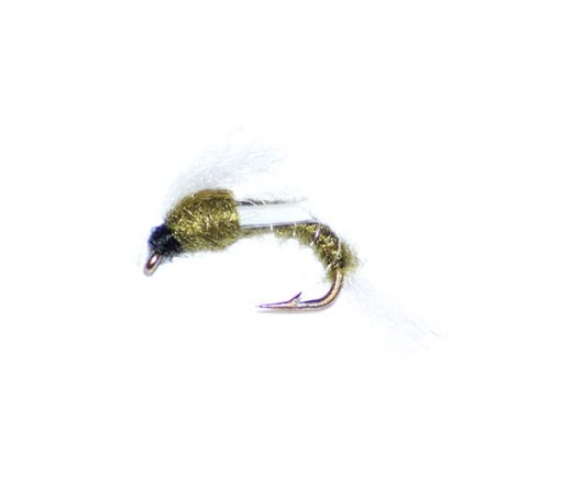 Olive Biot Buzzer - Image 3