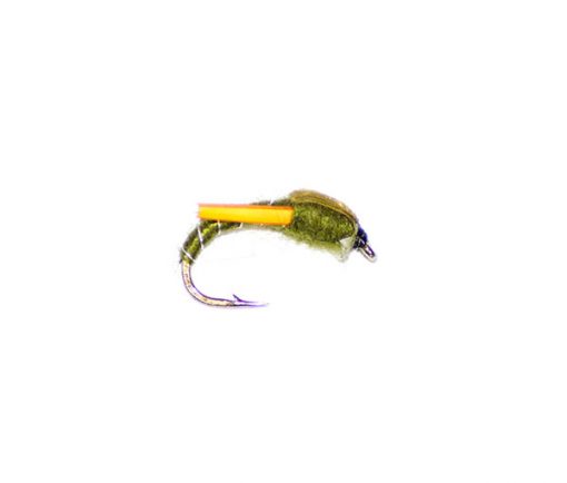 Olive & Yellow Biot Buzzer