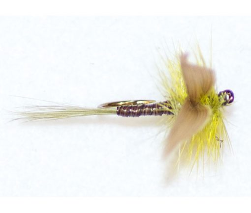 Olive Quill Winged - Image 3