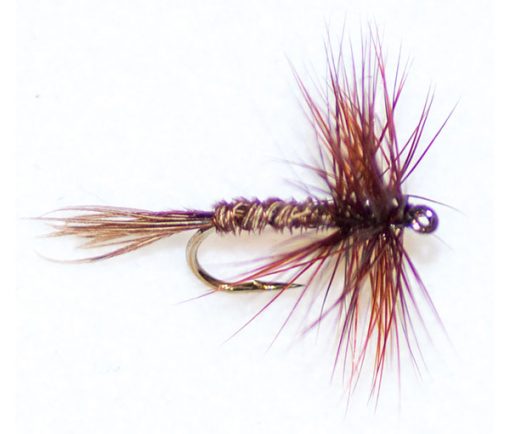 Pheasant Tail Brown Hackle