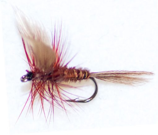 Pheasant Tail Brown Winged - Image 2