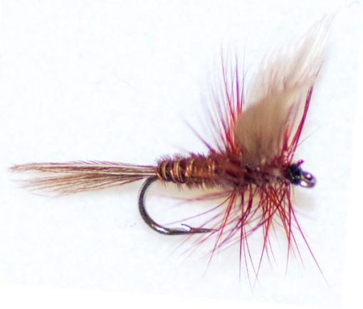 Pheasant Tail Brown Winged