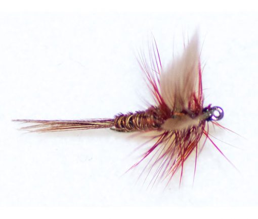 Pheasant Tail Brown Winged - Image 3