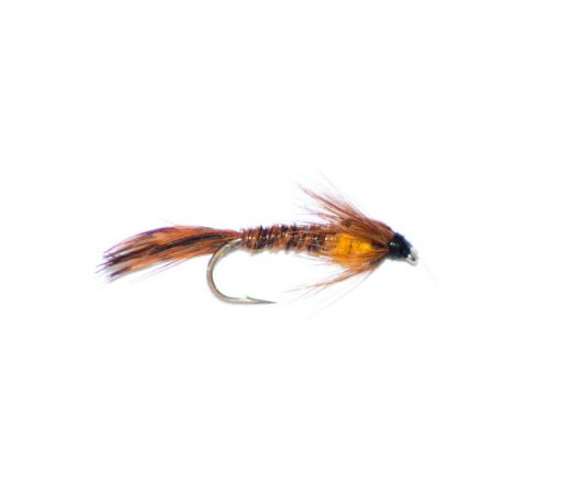 Pheasant Tail Orange