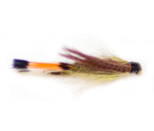 Sooty Olive - Image 3