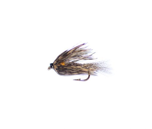 Stonefly Creeper - Image 2