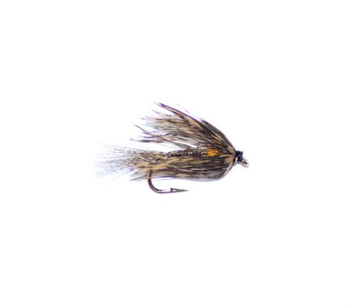 Stonefly Creeper