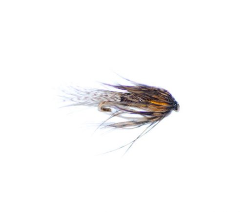 Stonefly Creeper - Image 3