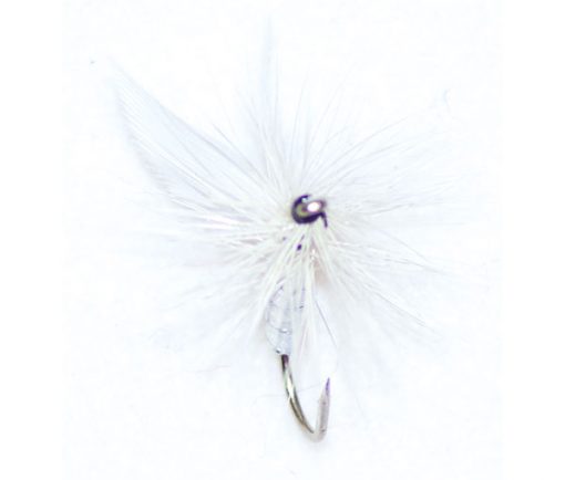 White Moth Winged - Image 2