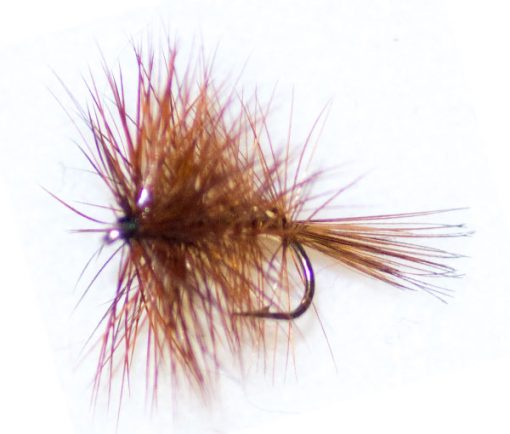 Wickhams Hackle - Image 2