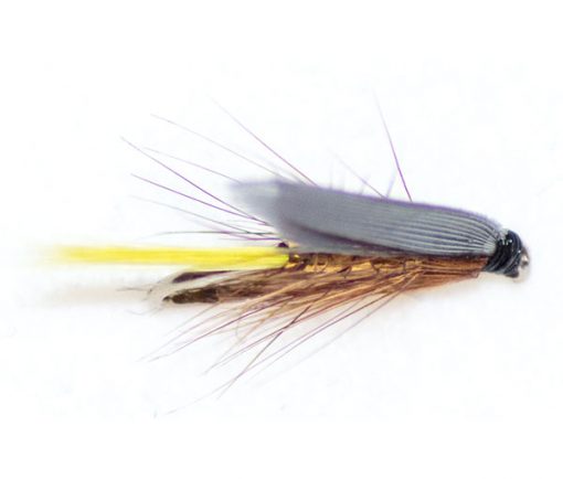 Yellow Tail Wickhams - Image 3