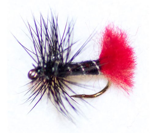 Zulu Black Hackle - Image 2