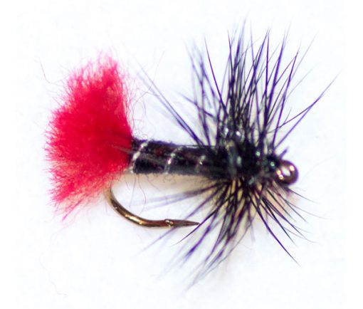 Zulu Black Hackle