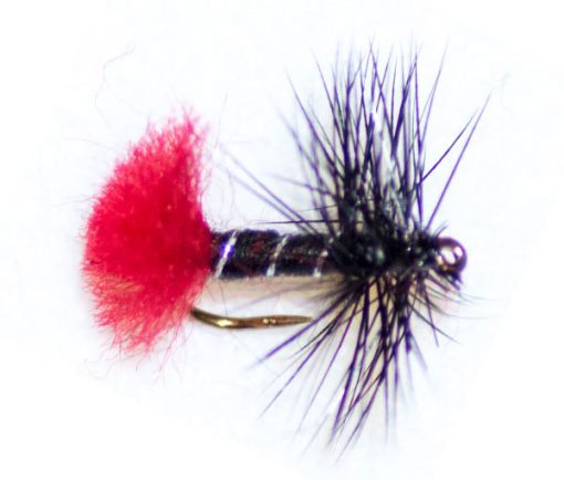 Zulu Black Hackle - Image 3