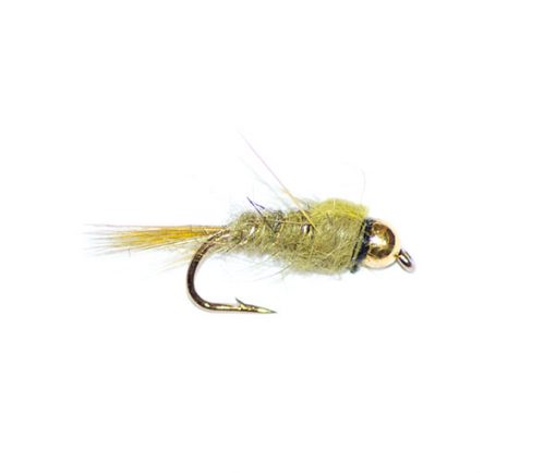 Olive Nymph Goldhead