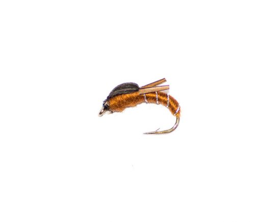 Brown Biot Buzzer - Image 2