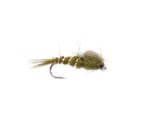 Olive emerger CDC