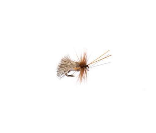 Goddard Caddis Amber Belly Sedge