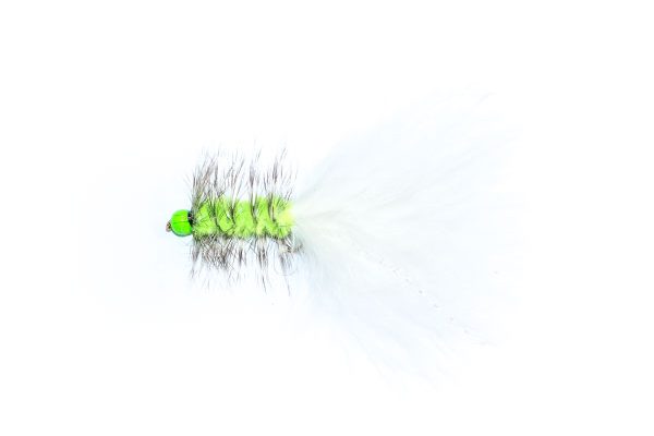 Grizzly White Hothead Tadpole