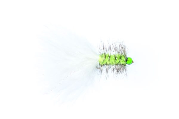 Grizzly White Hothead Tadpole