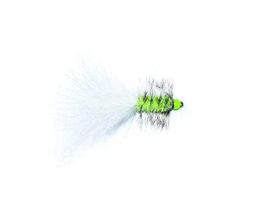 Grizzly White Hothead Tadpole - Image 4