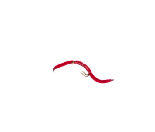 San Juan Blood Worm - Image 2