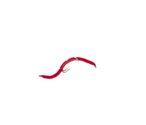 San Juan Blood Worm - Image 3