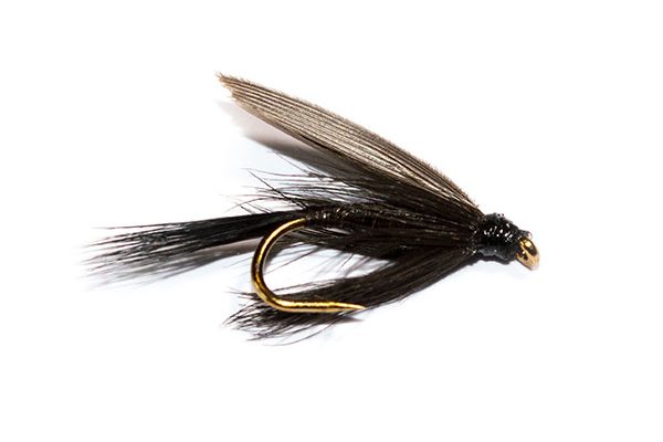 Fish Fishing Flies Black Quill Winged