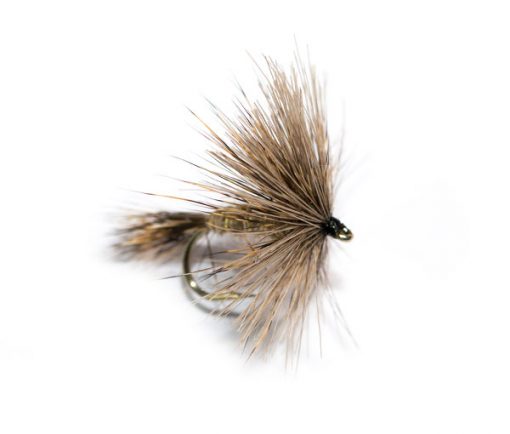 Fish Fishing Flies Hares Ear Hackle Gold Rib Dry Fly