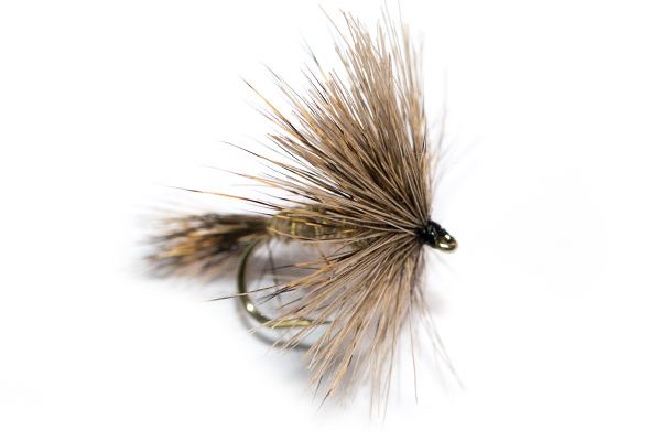 Fish Fishing Flies Hares Ear Hackle Gold Rib Dry Fly