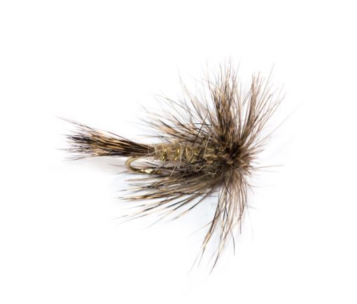 Hares Ear Hackle Gold Rib Dry Fly - Image 4