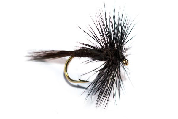 Fish Fishing Flies Midnight Mayhem Dry Fly