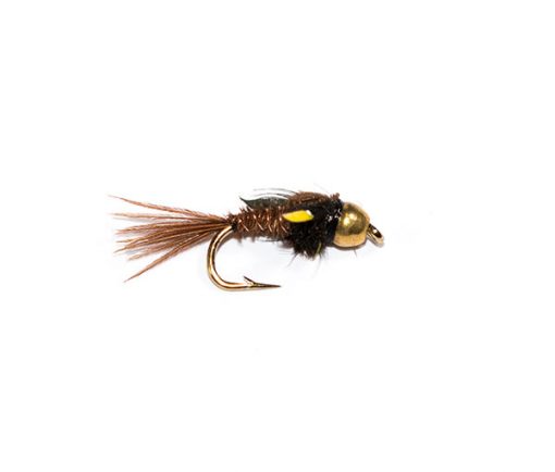 Fish Fishing Flies Pheasant Tail Nymph Goldhead SJC