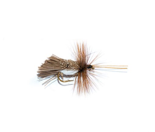 Fish Fishing Flies Goddard caddis white belly sedge