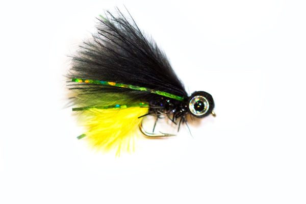 Booby Crystal Bristol Viva Eyes