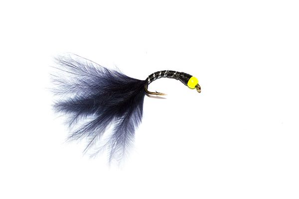 Fluo Head Black Mini Bloodworm