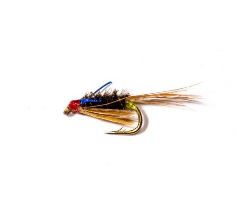 Green Butt Blue Flash Diawl Bach