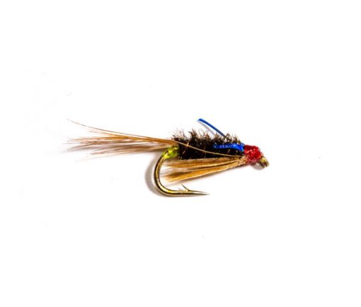 Green Butt Blue Flash Diawl Bach