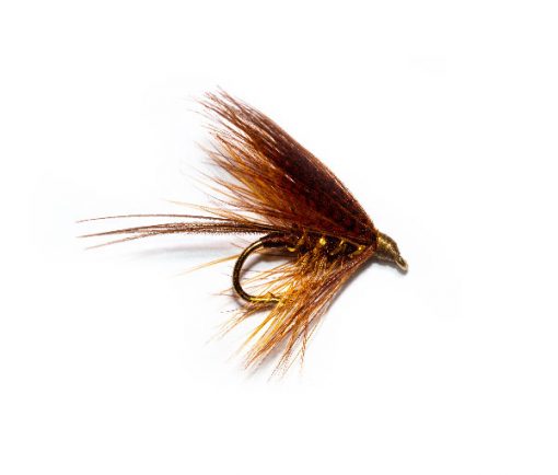 check out the fantastic Fiery Brown Dabbler