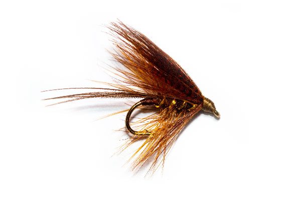 check out the fantastic Fiery Brown Dabbler